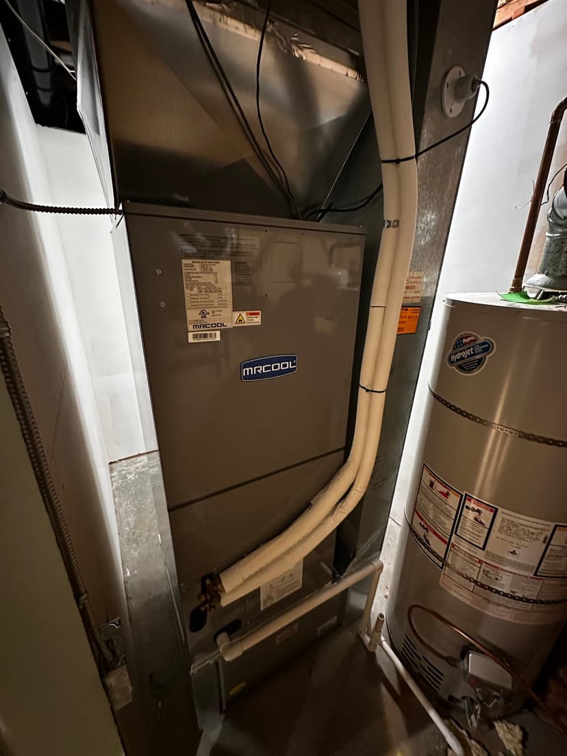 I wholeheartedly recommend