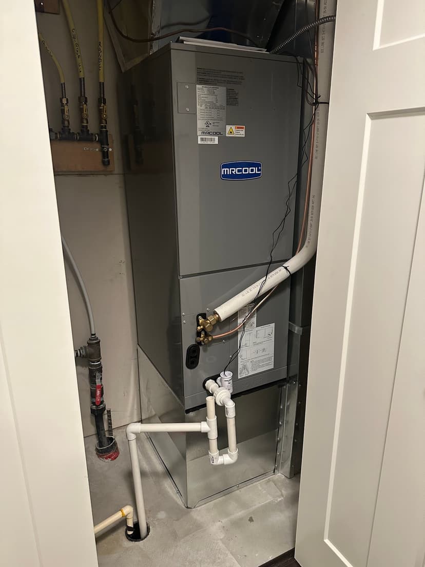 Punctual, professional, and efficient